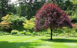 Idaho Falls Landscaping Services