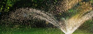Landscaping Maintenance -Residential and Commercial