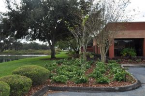 landscaping maintenance