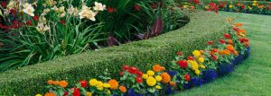 Idaho Falls lanscaping services