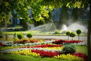 landscaping services in Idaho Falls