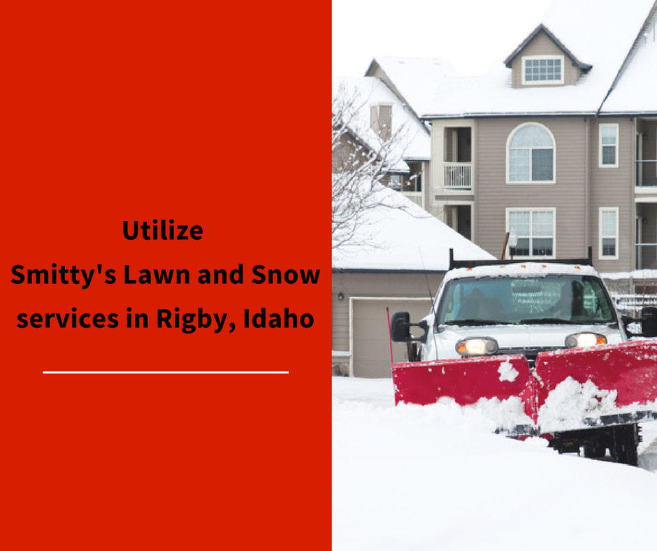 snow removal snow removal