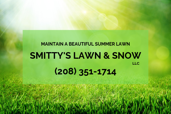 Summer Lawn Maintenance in Rigby ID