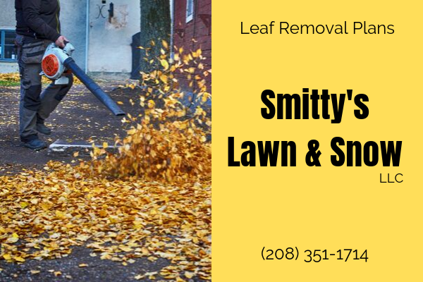 Rigby Idaho Leaf Removal