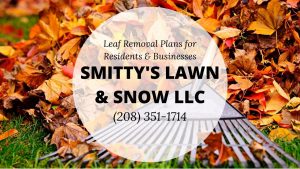 leaf-removal-in-Rexburg-ID