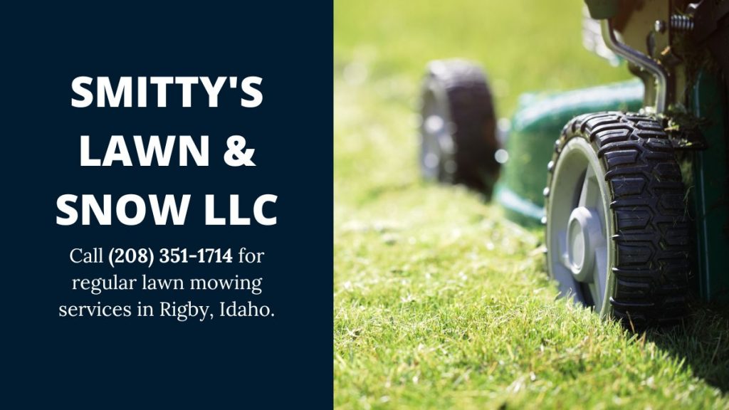 Rigby-ID-lawn-mowing