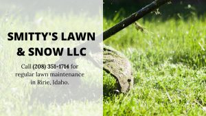 Ririe-ID-lawn-care