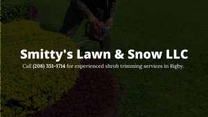shrub-trimming-in-Rigby