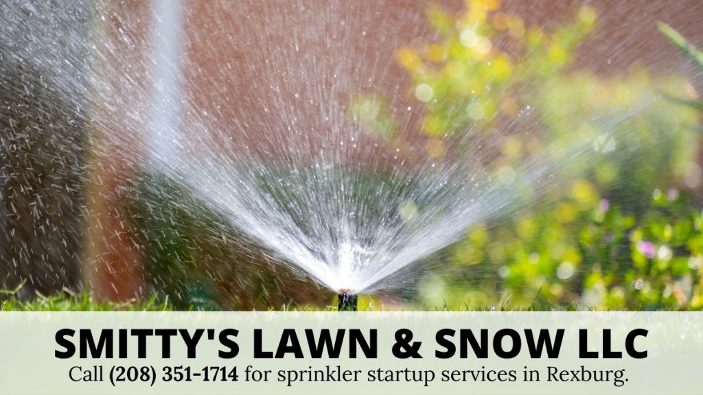 Rexburg-sprinkler-startup