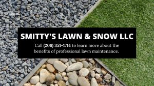 Rigby-lawn-care-business