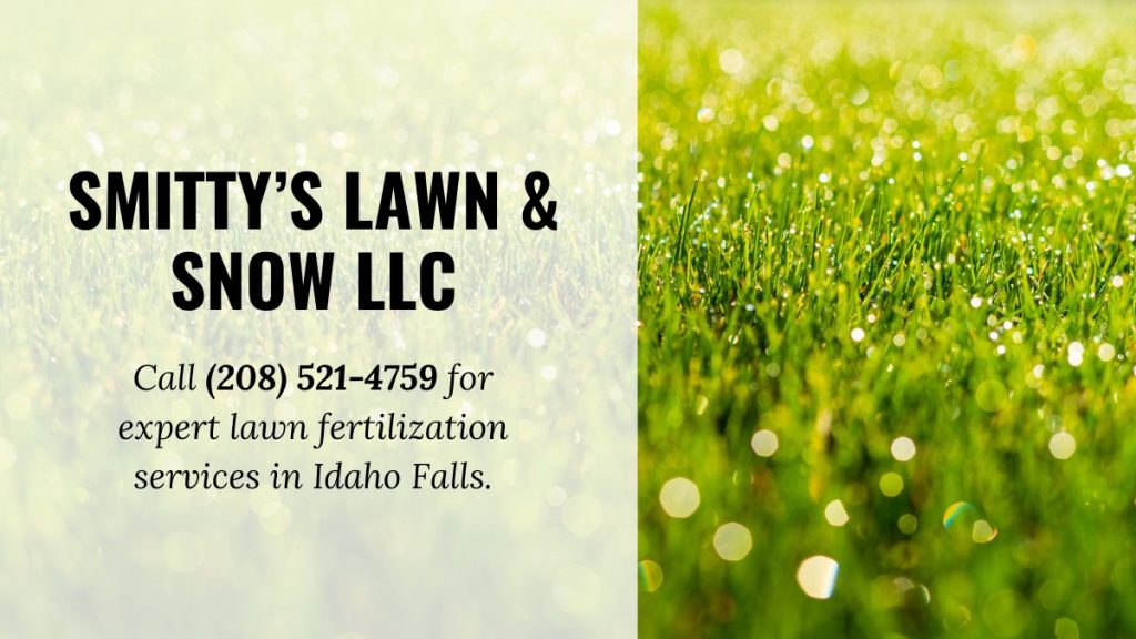 Idaho-Falls-lawn-fertilization